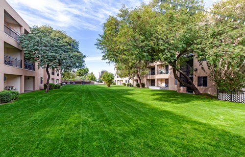 The Rehabilitation Center At The Palazzo