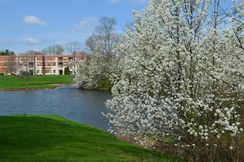 The Renaissance Retirement Campus